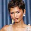 Cabelo pixie cut de Zendaya no Emmy homenageia visual icônico de Halle Berry, e veterana reage; confira 9 famosas, incluindo Diana, que já aderiram ao corte de 1951 a 2026