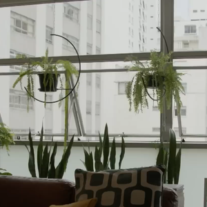 Entre samambaias, livros raros e retratos antigos, Isabel Teixeira revelou detalhes de sua intimidade e mostrou como mantém viva a história da família dentro do apartamento onde mora há mais de dois anos em São Paulo