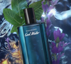 Do trabalho à balada, o Cool Water da Davidoff era a fragrância que acompanhava meu pai em diferentes momentos e hoje ganhou um novo significado como meu cheiro favorito para os dias de inverno