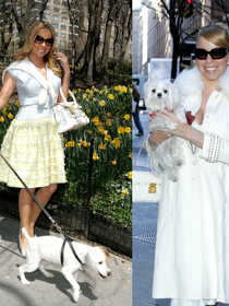 Chef particular, resort 5 estrelas e jatinho: Mariah Carey gastou cerca de R$ 437 mil em férias luxuosas dos 8 cachorros