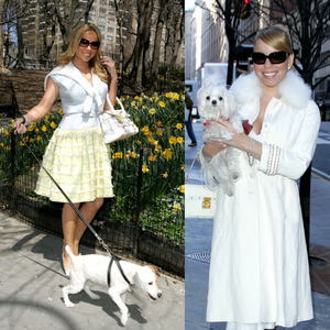 Chef particular, resort 5 estrelas e jatinho: Mariah Carey gastou cerca de R$ 437 mil em férias luxuosas dos 8 cachorros