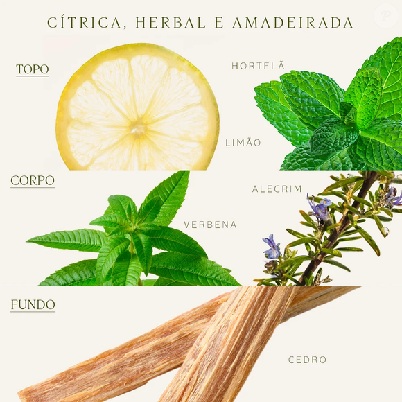 O resultado  do Verbena Cítrica da L'Occitane en Provence é um perfume elegante, energizante e extremamente versátil para a rotina de inverno