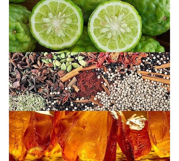 Notas quentes com frescor na medida: a combinação que explica o sucesso contínuo do perfume