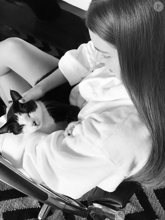 Marina Ruy Barbosa fez relato tocante ao revelar sumiço do gato João