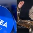 Eva Fernández, farmacêutica: 'O creme Nivea da lata azul realmente hidrata, mas porque é um creme altamente oclusivo. Ele cria uma película que impede a perda de água'