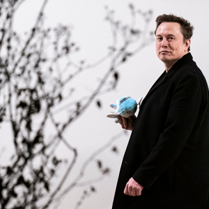 Luzes baixas, silêncio absoluto e mais: Elon Musk é ‘tranquilo e legal’ em voos de jatinho - a menos que estas regras bizarras sejam descumpridas