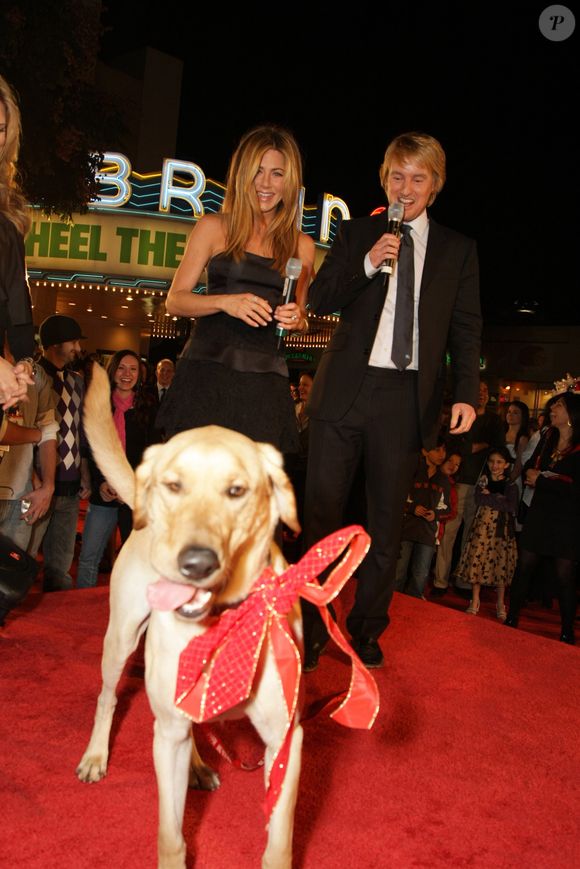 Por que Marley não é um cachorro para qualquer tutor, segundo especialista