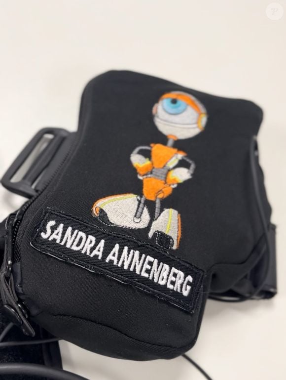 Além de William Bonner, Sandra Annenberg também participará do 'BBB 26', conforme publicado pelo perfil do programa no Instagram