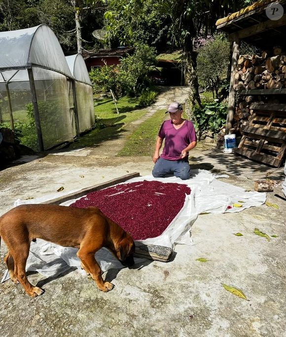Longe do luxo urbano, Marcello Novaes escolheu a tranquilidade de um sítio em Teresópolis, onde cultiva horta orgânica, cria galinhas e vive cercado pela natureza, longe do estresse da cidade.