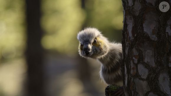 Série 'The Dinosaurs' (Os Dinossauros), da Netflix, conta com apenas 4 episódios