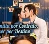 'Família por Contrato, Amor por Destino': depois de um casamento por interesse, uma mulher descobre que seu novo marido guarda uma ligação inesperada com seu passado. A revelação muda o destino de toda a família