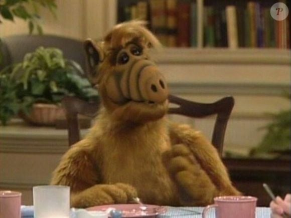 'ALF, o ETeimoso' mostrava vida de típica família americana sendo transformada com a chegada de um alienígena, que caía com sua nave espacial na garagem da casa