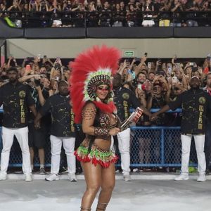 Na ocasião, Viviane Araújo usou uma fantasia de mulher indígena, representando a resistência, que era o samba-enredo do Salgueiro
