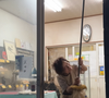 A história de Yuriko viralizou após ser mostrada pelo canal Japanese Food Craftsman. Aos 84 anos, ela segue à frente da padaria fundada em 1970 e ajuda a produzir diariamente entre 300 e 400 unidades de alimentos artesanais