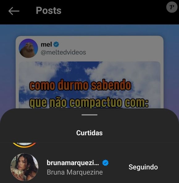 Publicação curtida por Bruna Marquezine tem a imagem de um cachorrinho dormindo tranquilamente: ‘Como eu durmo sabendo que não compactuo com casa de apostas’