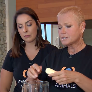 Shake de Xuxa leva proteína vegetal em pó, duas bananas, gelo e água em um liquidificador