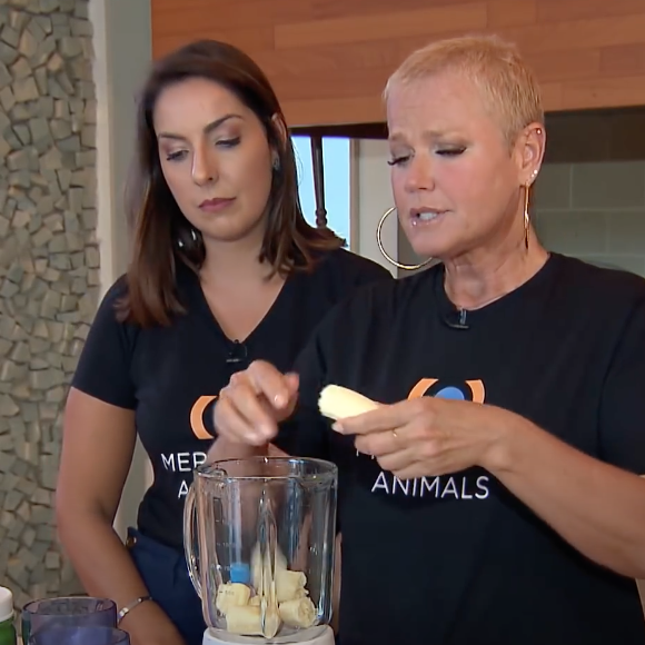 Shake de Xuxa leva proteína vegetal em pó, duas bananas, gelo e água em um liquidificador