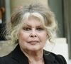 Brigitte Bardot morreu aos 91 anos em 28 de dezembro de 2025: causas não foram reveladas