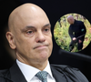 Antes de polêmica com Vorcaro: Há 10 anos, Alexandre de Moraes cortava pés de maconha no Paraguai; depois, votou pela descriminalização