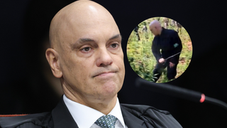 Antes de polêmica com Vorcaro: Há 10 anos, Alexandre de Moraes cortava pés de maconha no Paraguai; depois, votou pela descriminalização