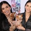 Nem Fernanda Torres, nem Ariana Grande: a melhor amiga de Demi Moore tem só 1,2 kg e foi achada na Tailândia. Conheça Pilaf!