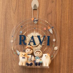 Ravi nasceu no dia 11 de novembro em São Paulo.