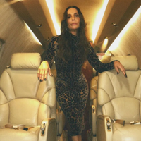 De R$ 17 milhões a R$ 35 milhões: os jatinhos poderosos ligados a Ivete Sangalo