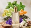 Com notas de cedro, sândalo, cardamomo, limão e menta, o Hoje Masculino, da Natura, combina sofisticação e leveza para quem busca um perfume versátil para o dia a dia