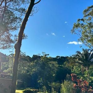 Marcello Novaes desfruta da beleza da natureza em seu dia a dia no sítio