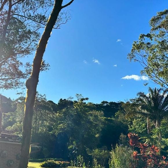 Marcello Novaes desfruta da beleza da natureza em seu dia a dia no sítio