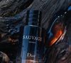 O oud utilizado no Sauvage Extrait é cultivado por mais de uma década em uma cadeia certificada da Dior no Vietnã e passa por um processo de destilação que revela notas de mel e olíbano