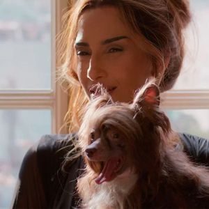 Lolindo é o pet de estimação de Lola (Camila Pitanga) na novela 'Beleza Fatal'