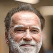 Arnold Schwarzenegger, 79 anos, explica como vencer a procrastinação: 'Não espere pelo momento perfeito'