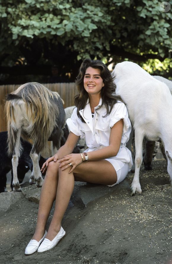Ícone de beleza na juventude, Brooke Shields garante: 'Eu não quero perseguir a juventude. Eu quero perseguir o agora'