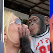‘Onde você estava com a cabeça?’: Léo Dias detona Virgínia ao vivo após vídeo com macaco, e comentarista chora ao falar de racismo