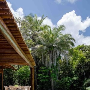 Casa de Heloísa Périssé conta com jardim, piscina e muito verde ao seu redor