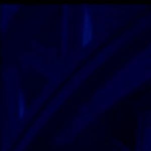 Mingau passou por diversas cirurgias após levar tiro na cabeça