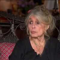 'Muçulmanos, invasores bárbaros e cruéis': Brigitte Bardot acumulou multas na Justiça por ataques e incitações ao ódio