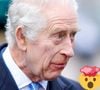 Aqui não! Os dois itens banais e improváveis que Rei Charles III baniu completamente do Palácio de Buckingham