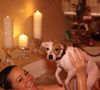 Mariah Carey sempre levou a vida luxuosa dos seus cachorros a sério: em 2014, a cantora gastou cerca de R$ 437 mil para hospedar os oito cães da raça Jack Russell Terrier em um resort pet de luxo no Reino Unido