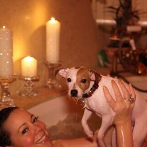 Mariah Carey sempre levou a vida luxuosa dos seus cachorros a sério: em 2014, a cantora gastou cerca de R$ 437 mil para hospedar os oito cães da raça Jack Russell Terrier em um resort pet de luxo no Reino Unido