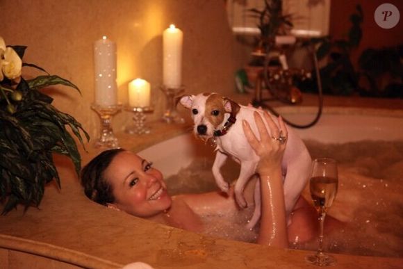 Mariah Carey sempre levou a vida luxuosa dos seus cachorros a sério: em 2014, a cantora gastou cerca de R$ 437 mil para hospedar os oito cães da raça Jack Russell Terrier em um resort pet de luxo no Reino Unido