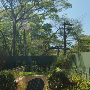 Chay Suede e Laura Neiva também amam plantas e tem muito verde na área externa