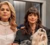 Estudos não afirmam que uma pessoa precisa ser empática com todos os seres vivos para desenvolver uma relação intensa com um animal.