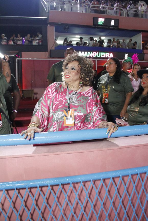 Alcione apostou em um look colorido para curtir um camarote na Sapucaí