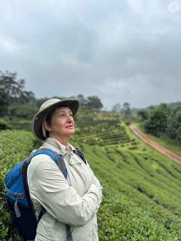 Sonia Bridi, ex-sogra de Rafael Cardoso, teria feito o convite para Rafael Cardoso reencontrar os filhos