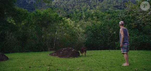 Assim que comprou a propriedade, Ney Matogrosso retirou as vacas do local e transformou o pasto em uma área de floresta gigantesca