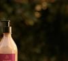 A Natura Ekos Baunilha Amazônica é uma das novidades apresentadas pela marca na Casa Natura. A proposta parte de um ingrediente amazônico considerado raro e exclusivo, transformado em uma linha de cuidados que inclui sabonete e hidratantes. A novidade estará ligada à presença da Natura no Rock in Rio