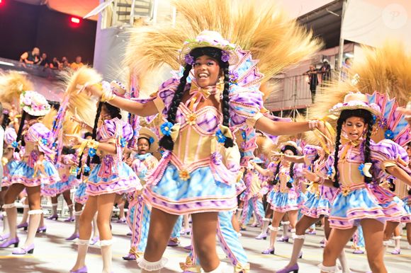 Carnaval 2026 em SP: diversas alas se destacaram no desfile da Vai-Vai