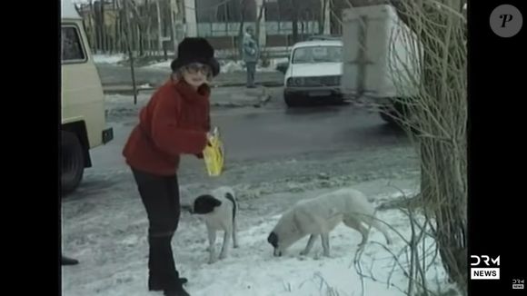 Brigitte Bardot era defensora da causa animal, o que a levou a atacar o povo muçulmano pela morte de ovelhas